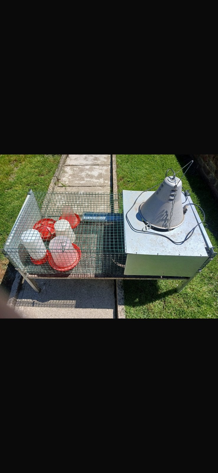 Cage elevage poussin, Animaux & Accessoires, Enlèvement, Comme neuf, Cage