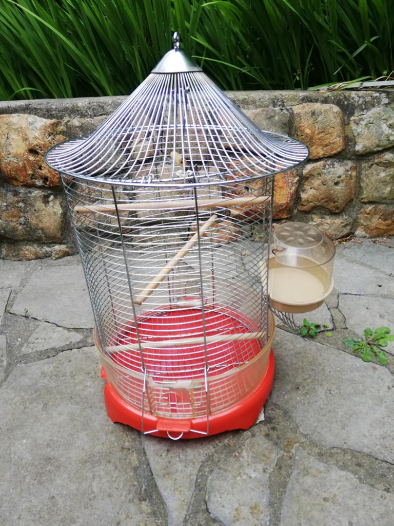 Cage à oiseau, Enlèvement
