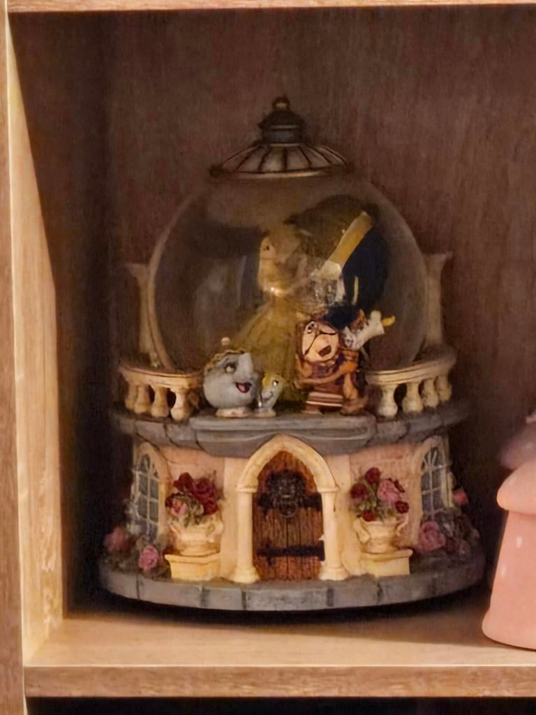 Snowglobe Belle en het Beest, Verzamelen, Ophalen