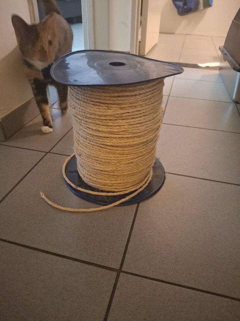Krabpaal touw, Dieren en Toebehoren, Krabmeubelen, Ophalen, Nieuw, Krabmeubel-onderdelen