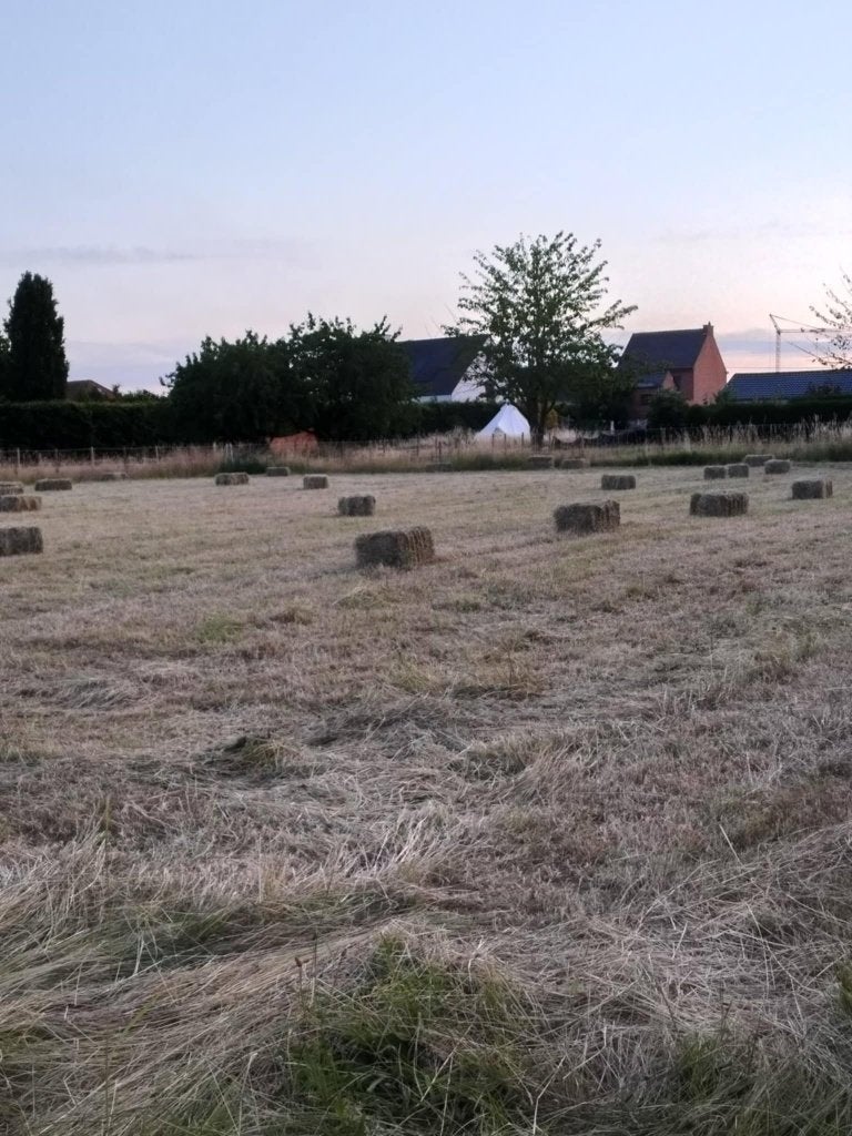 kleine botten hooi te koop, Dieren en Toebehoren, Ophalen