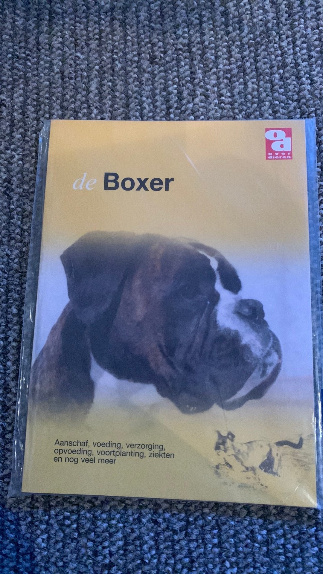 De boxer, Ophalen, Nieuw
