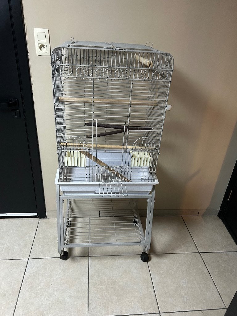 Cage à perruche, Enlèvement, Utilisé, Métal, Cage à oiseaux
