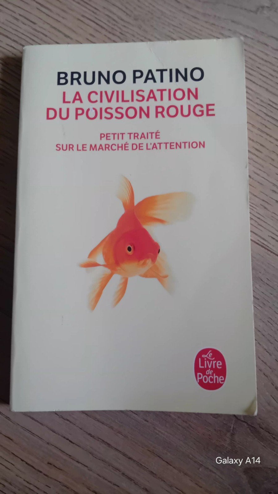 "La civilisation du poisson rouge "-Bruno Patino, Enlèvement