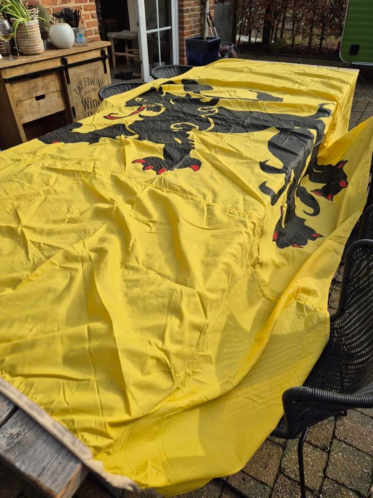 Vlaamse Leeuw vlag, Ophalen