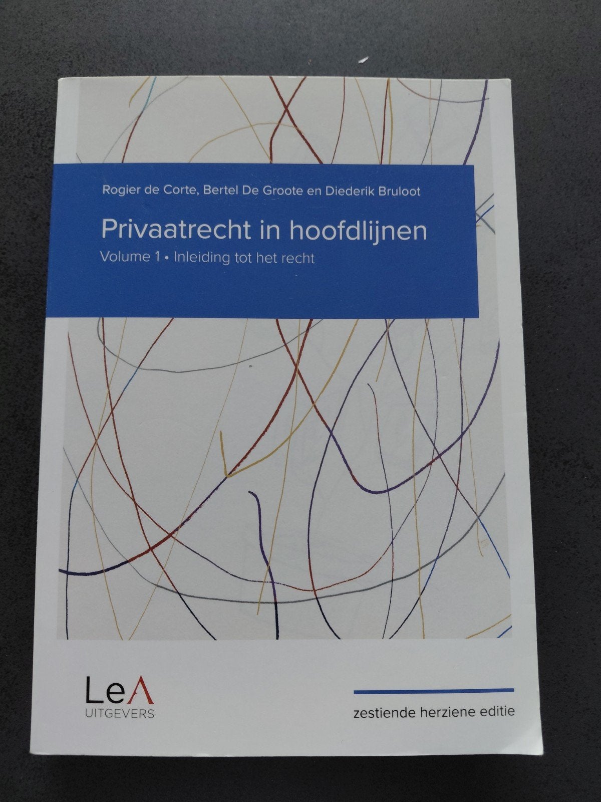 Privaatrecht in hoofdlijnen 16de editie - Volume 1, Ophalen, Rogier De Corte; Bertel De Groote; Diederik Bruloot
