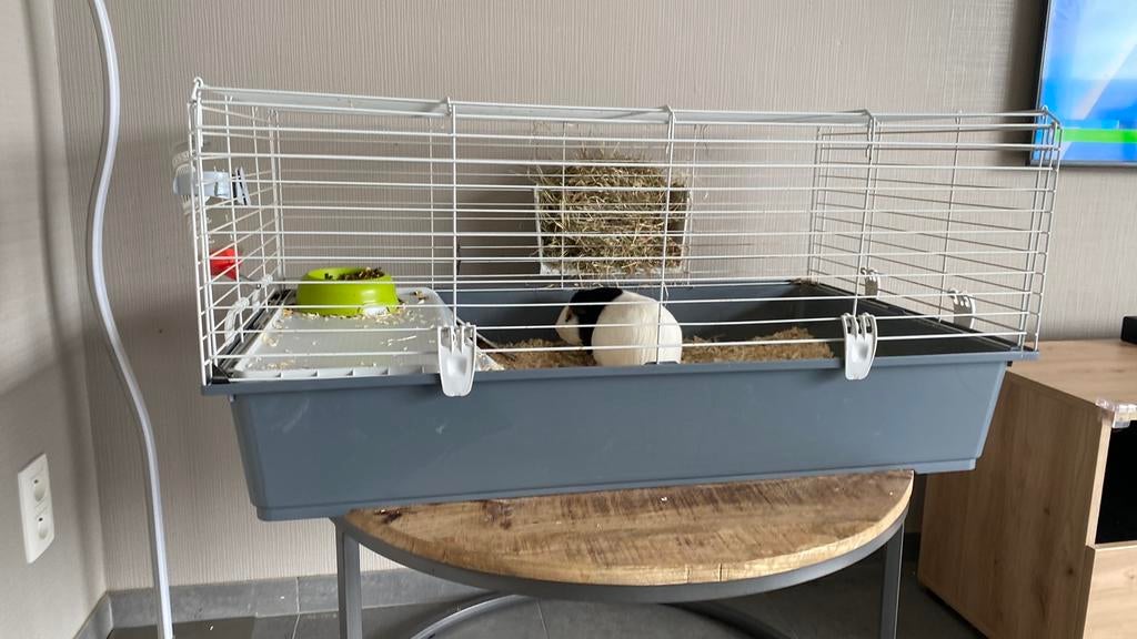 Grote Cavia konijnenkooi, Dieren en Toebehoren, Ophalen, Gebruikt, Kooi, Cavia