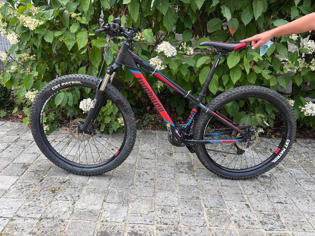 Mountainbike Lombardo, Autres marques, Moins de 10 vitesses, Enlèvement, Utilisé