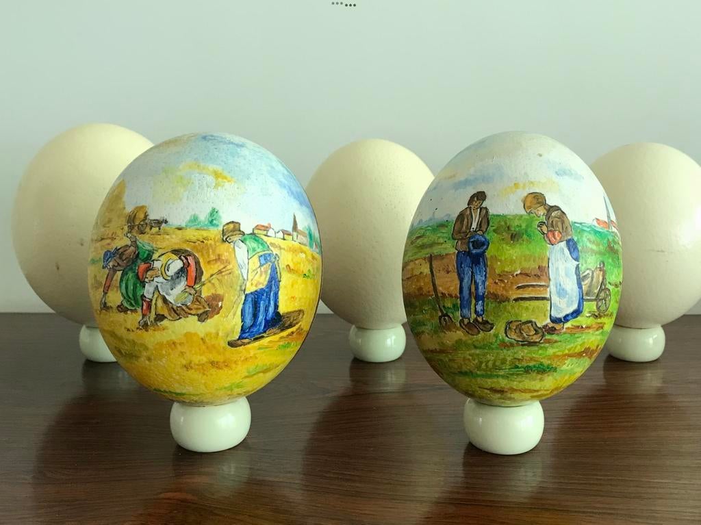 4 x struisvogelei struisvogel ei beschilderd decor, Ophalen of Verzenden