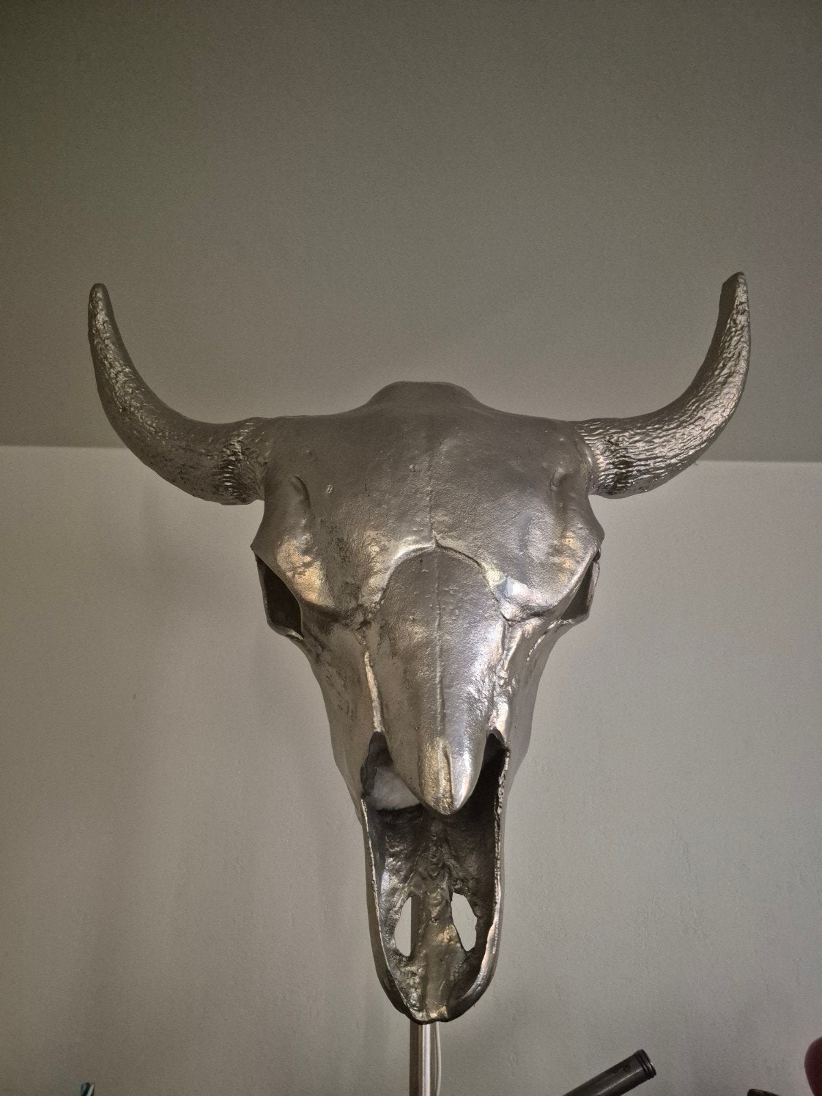 buffel schedel, Ophalen
