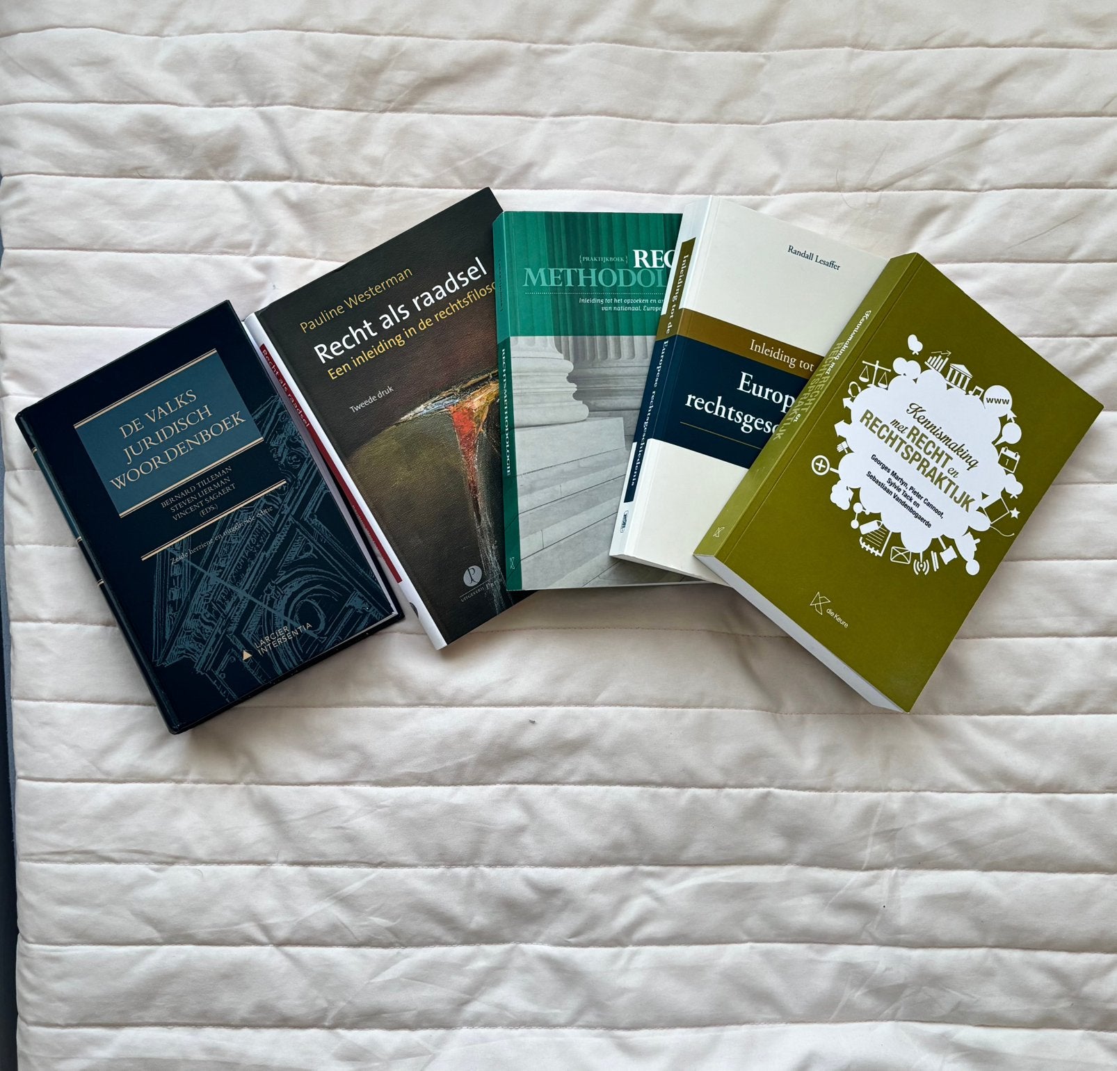 5 Boeken 1e Bachelor Rechten UHasselt, Enlèvement ou Envoi, Comme neuf, Autres niveaux, Autres matières