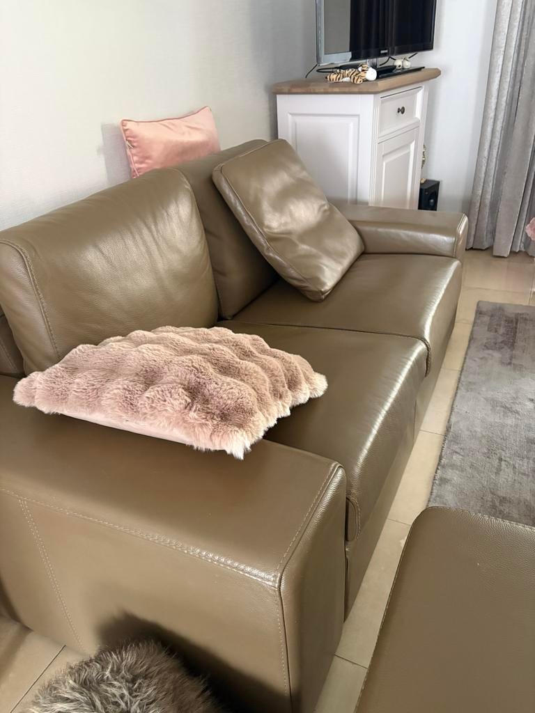 Mooie salon taupe kleur, Ophalen, Leer