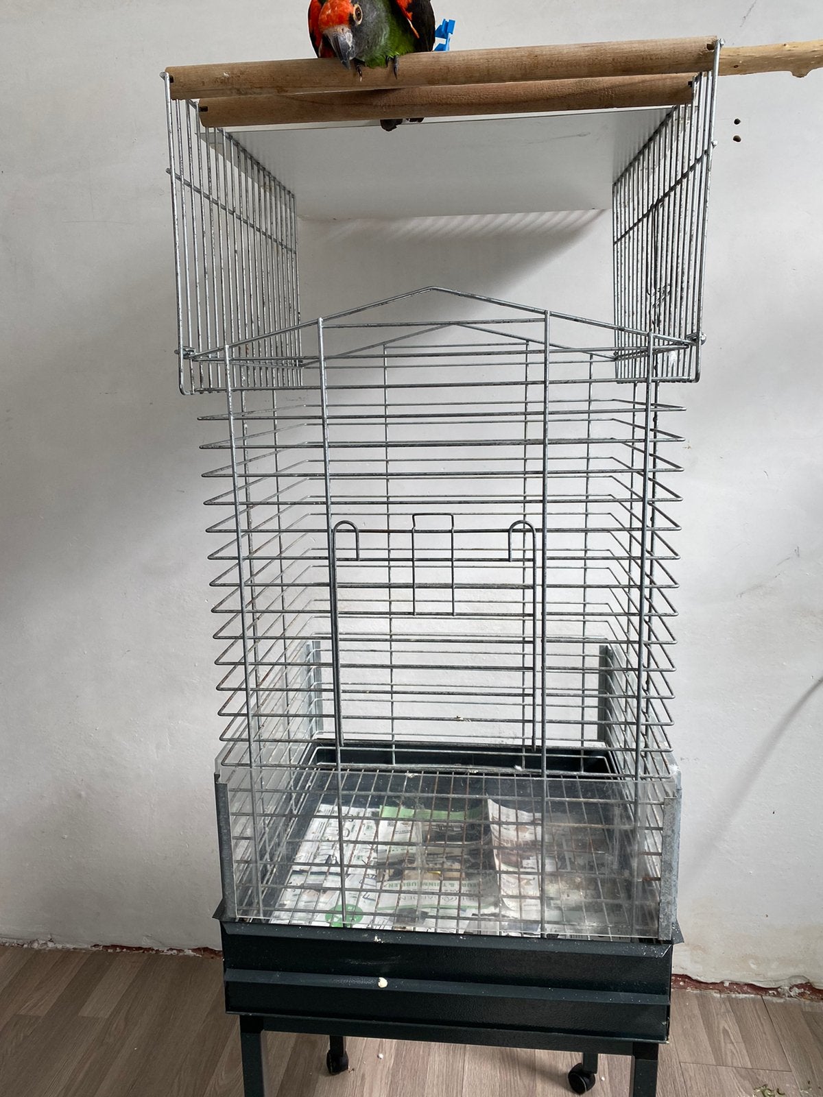 2 Kooien en staander gratis gent 0488079524, Dieren en Toebehoren, Ophalen of Verzenden, Zo goed als nieuw