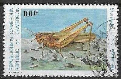 Kameroen 1986 - Yvert 784 - Insecten - Sprinkhaan (ST), Verzenden, Gestempeld
