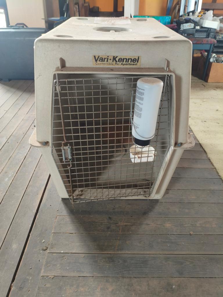 Hondenbench Vari-Kennel XXL, Dieren en Toebehoren, Ophalen
