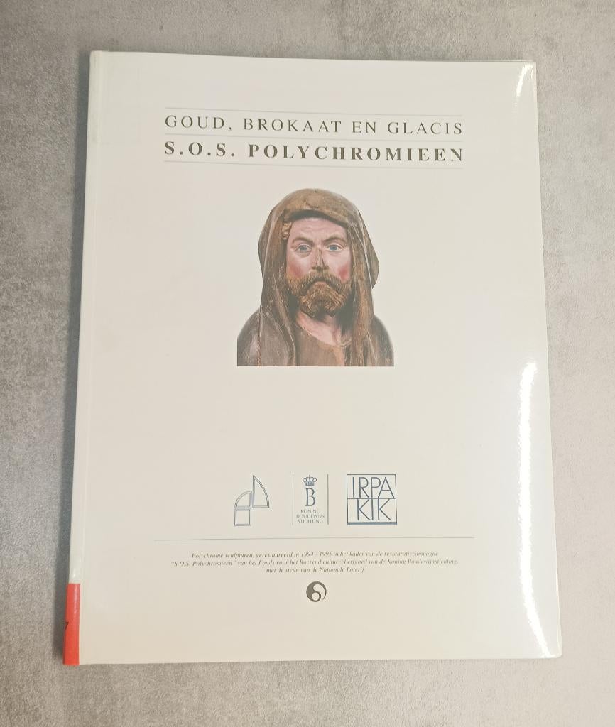Goud, Brokaat en Glacis: S.O.S. Polychromieën (Kunstboek), Antiek en Kunst, Curiosa en Brocante, Ophalen of Verzenden