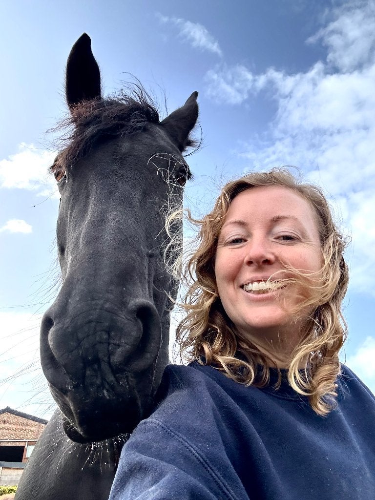 Halve stal - Wieze - wandelpaard, Dieren en Toebehoren, Merrie, Minder dan 160 cm, 11 jaar of ouder, Recreatiepaard
