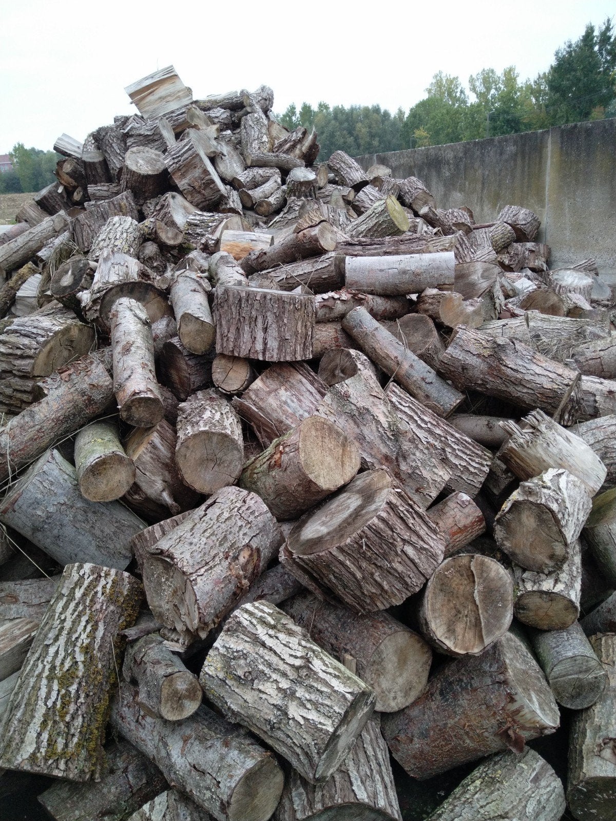 brandhout te koop- Wilg en es- €50 per kuub, Enlèvement