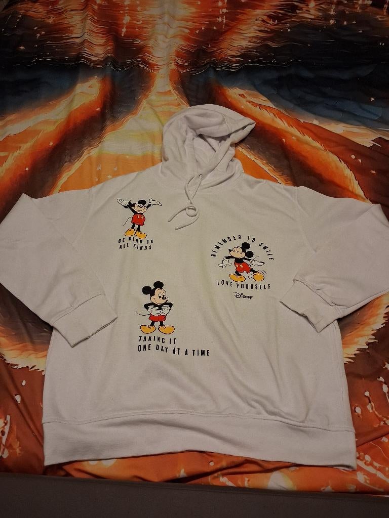 Trui en t schirt disney, Overige kleuren, Lange mouw, Gedragen, Ophalen