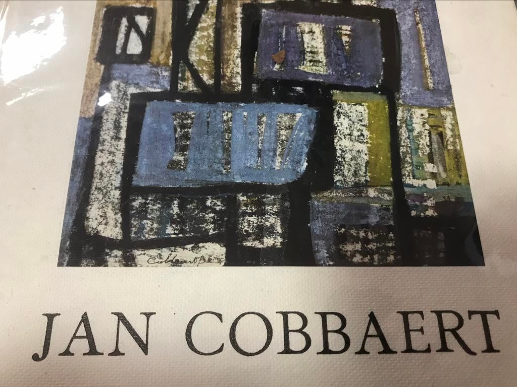 Jan Cobbaert Sculptures Peintures 50 pag, Enlèvement ou Envoi, Comme neuf, Peinture et dessin