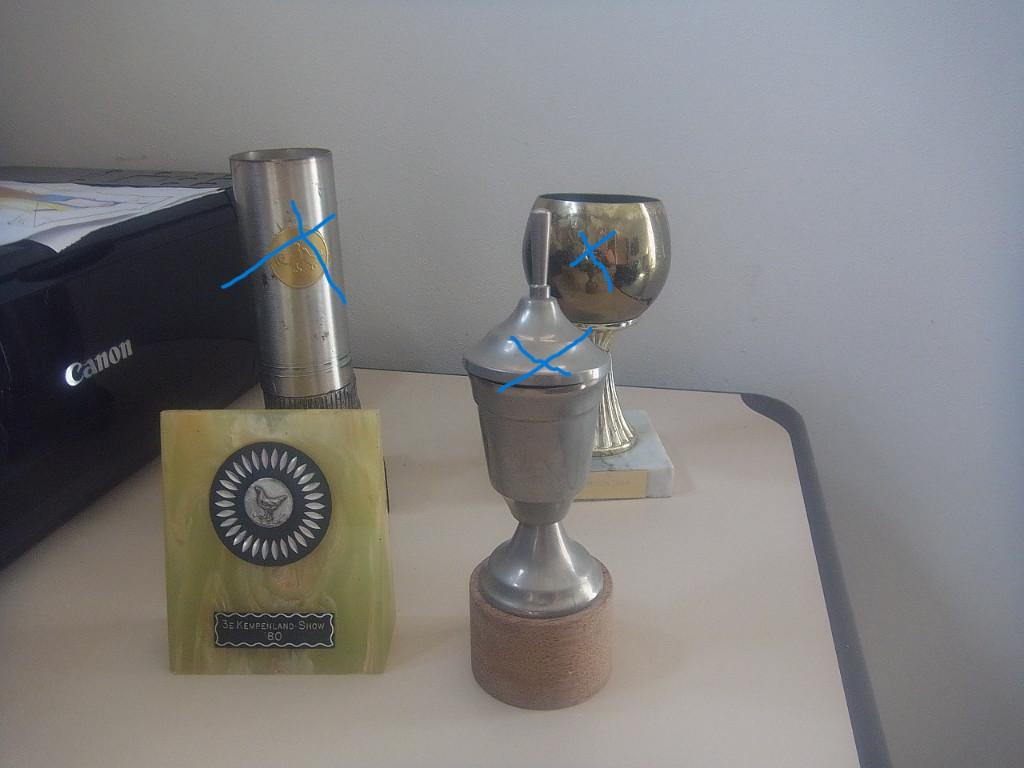 trofee beker, Ophalen of Verzenden, Zo goed als nieuw