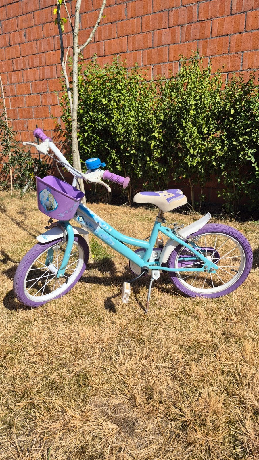 kinderfietsje Frozen 16 inch, Fietsen en Brommers, Ophalen, Gebruikt, Velgrem, 16 tot 20 inch