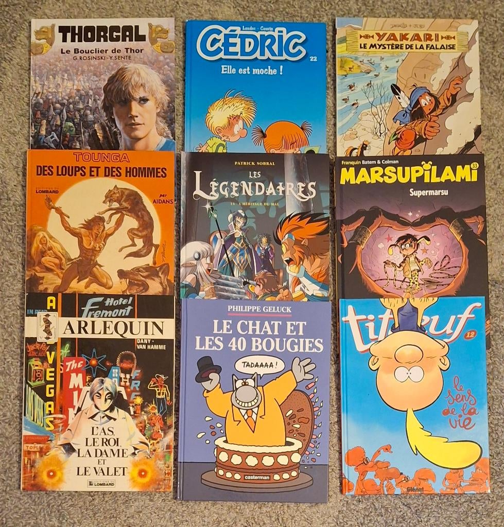 DIFFERENTES BD DUPUIS CASTERMAN DELCOURT LOMBARD, Plusieurs BD, Enlèvement ou Envoi, Comme neuf