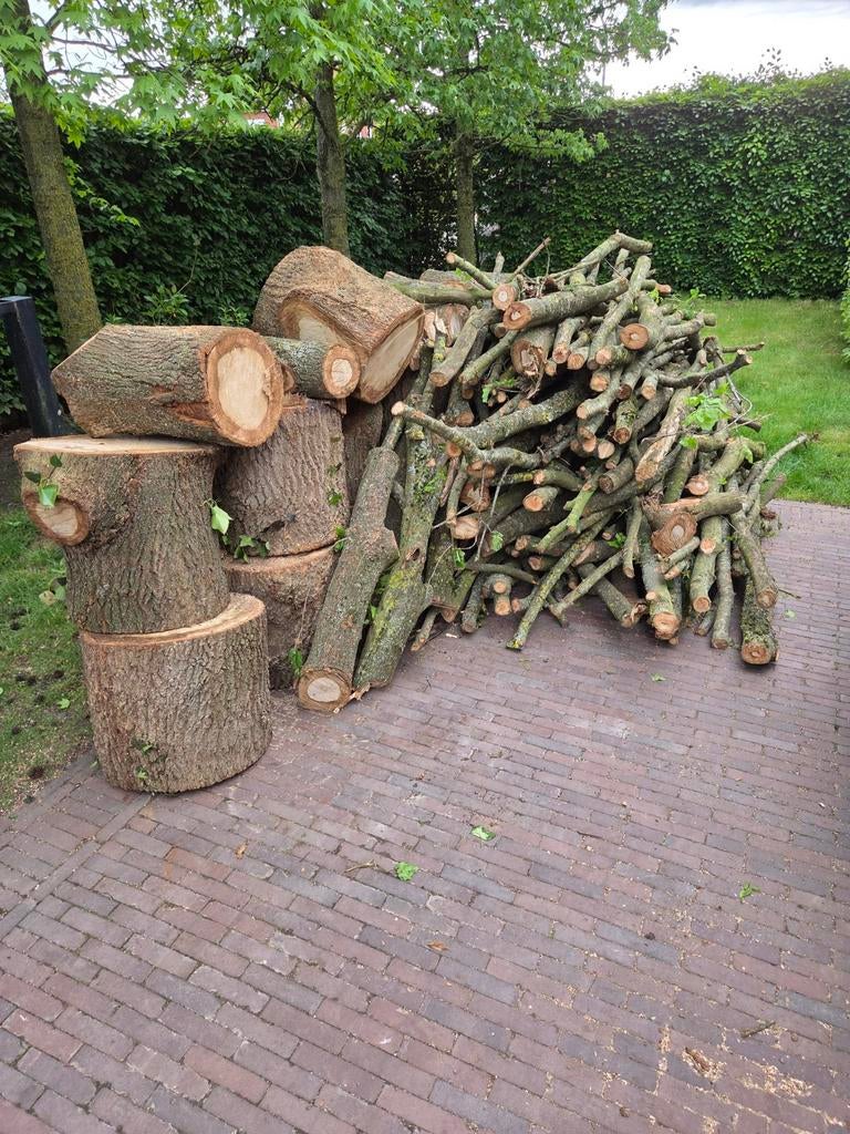 Brandhout: eik., Tuin en Terras, Brandhout, Ophalen