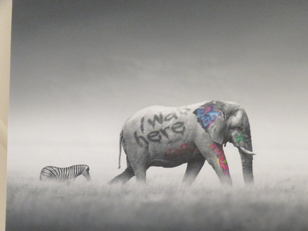 Giclée Small Fry I Was Here Elephant & Zebra N 08/40, Numéroté, Enlèvement ou Envoi, Giclée