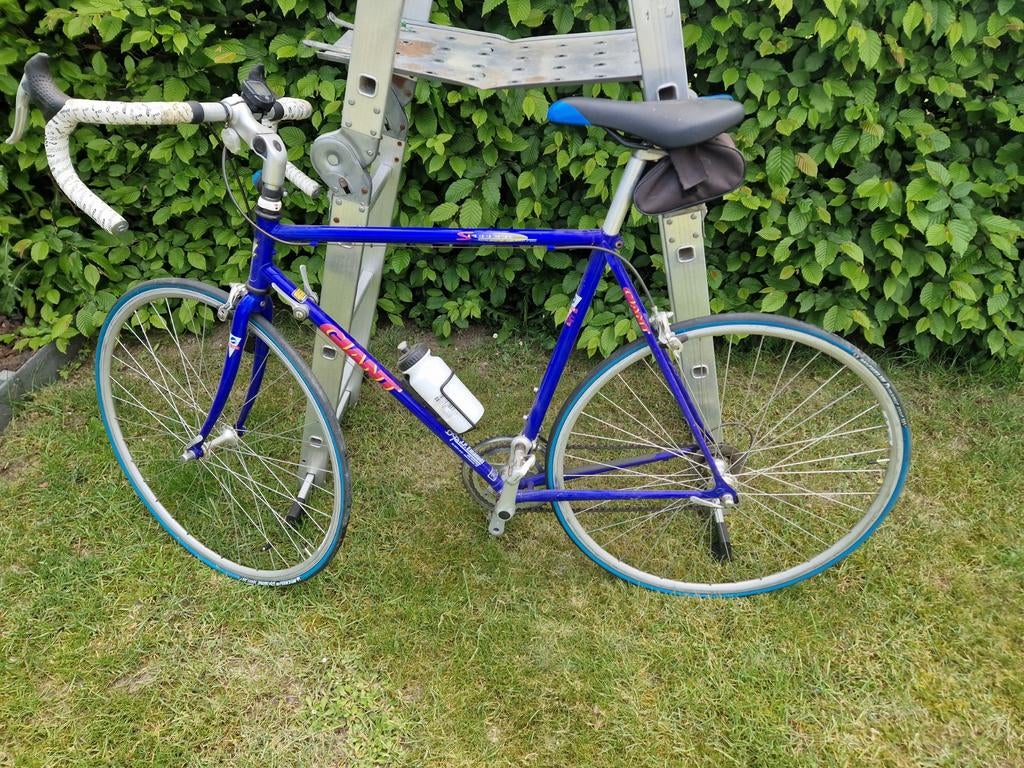 Vintage Giant koersfiets met Shimano Biopace ovale kettingbl, Enlèvement, Giant