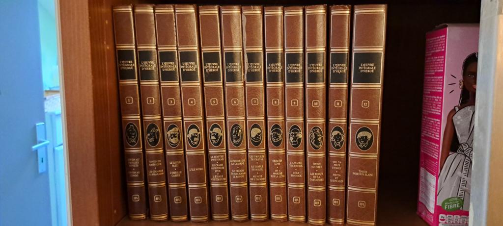Tintin. L'œuvre intégrale, Boeken, Encyclopedieën, Ophalen, Complete serie