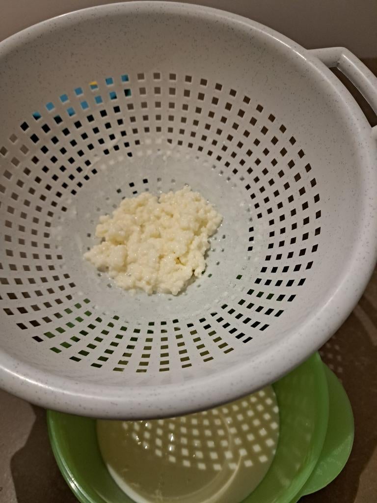 Gezonde kefir korrels voor kefir, Diversen, Levensmiddelen, Ophalen