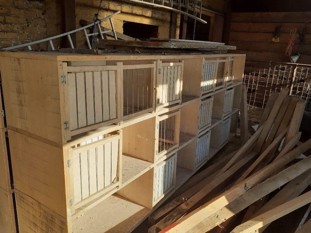 boîtes d'élevage