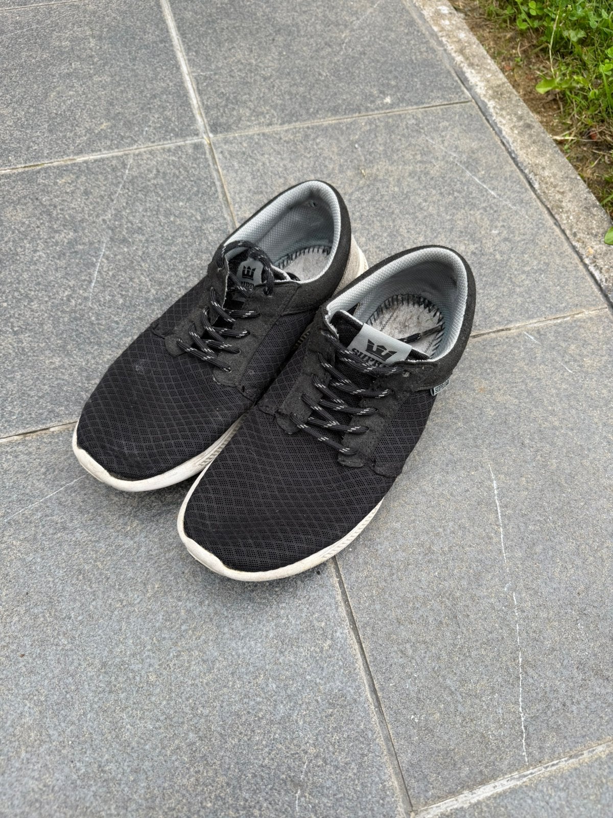 Schoenen supra maat 43, Ophalen, Zo goed als nieuw