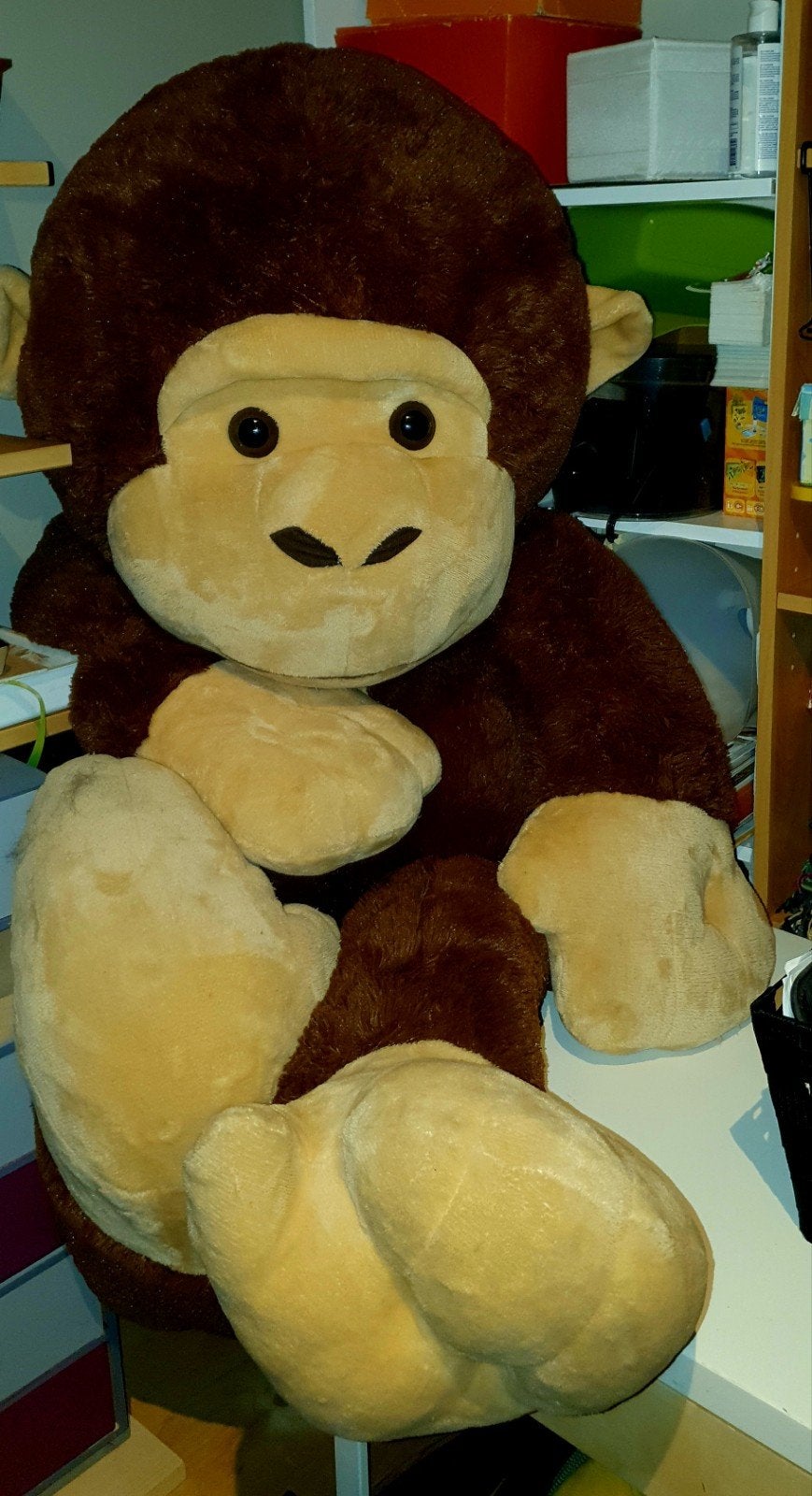 Adorables peluches singe : une géante + 1  grande, Collections, Ours & Peluches, Enlèvement, Comme neuf
