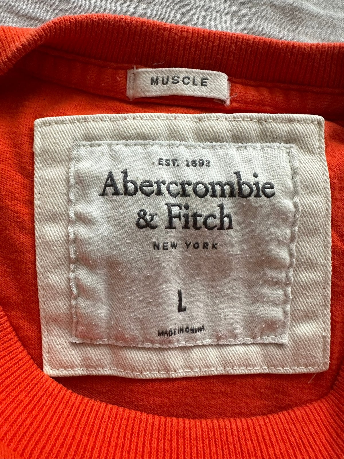 Zomer tshirt Abercrombie and Fitch, Ophalen of Verzenden, Zo goed als nieuw, Maat 52/54 (L), Oranje
