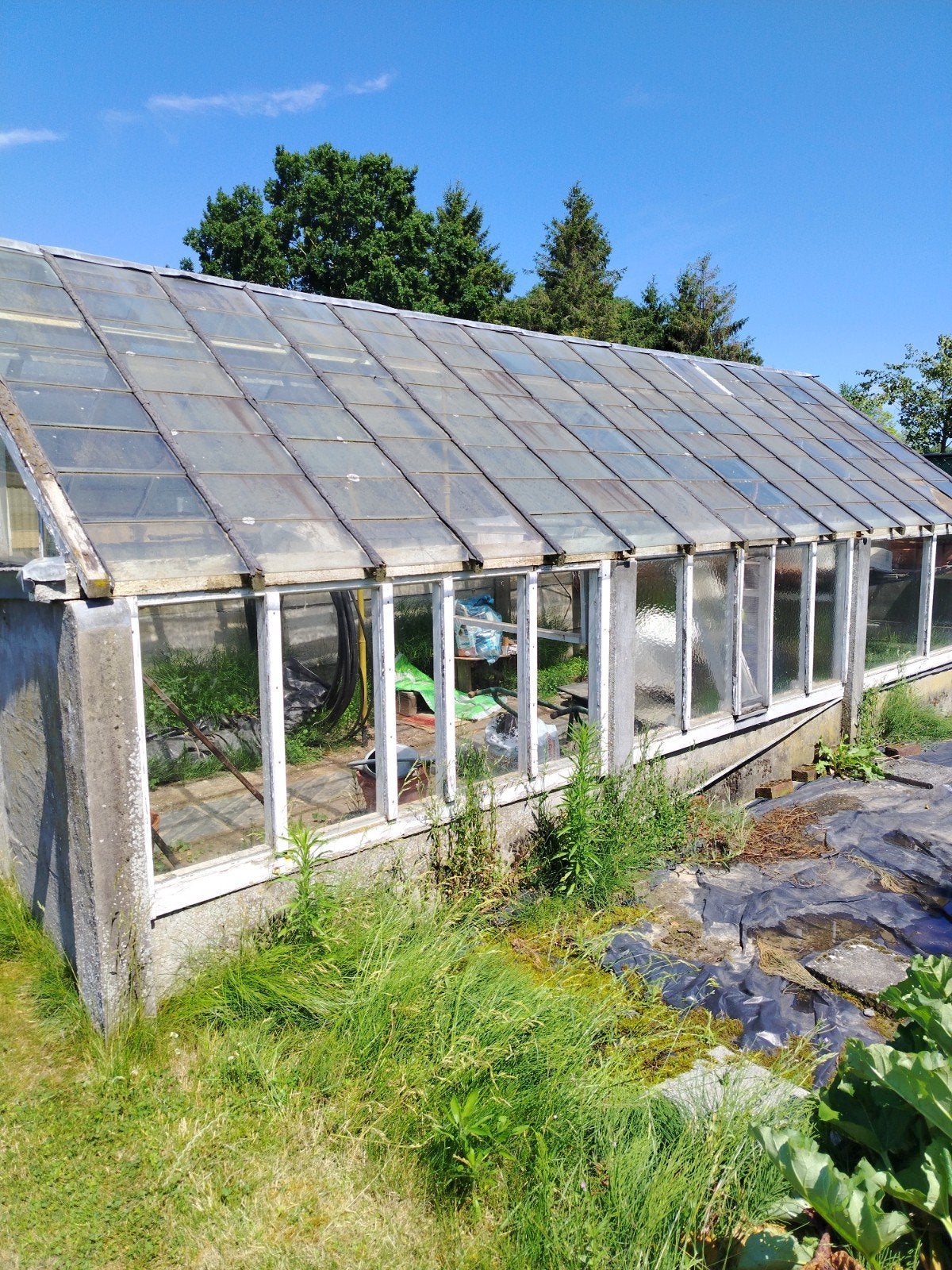Serre gratis, Tuin en Terras, Ophalen