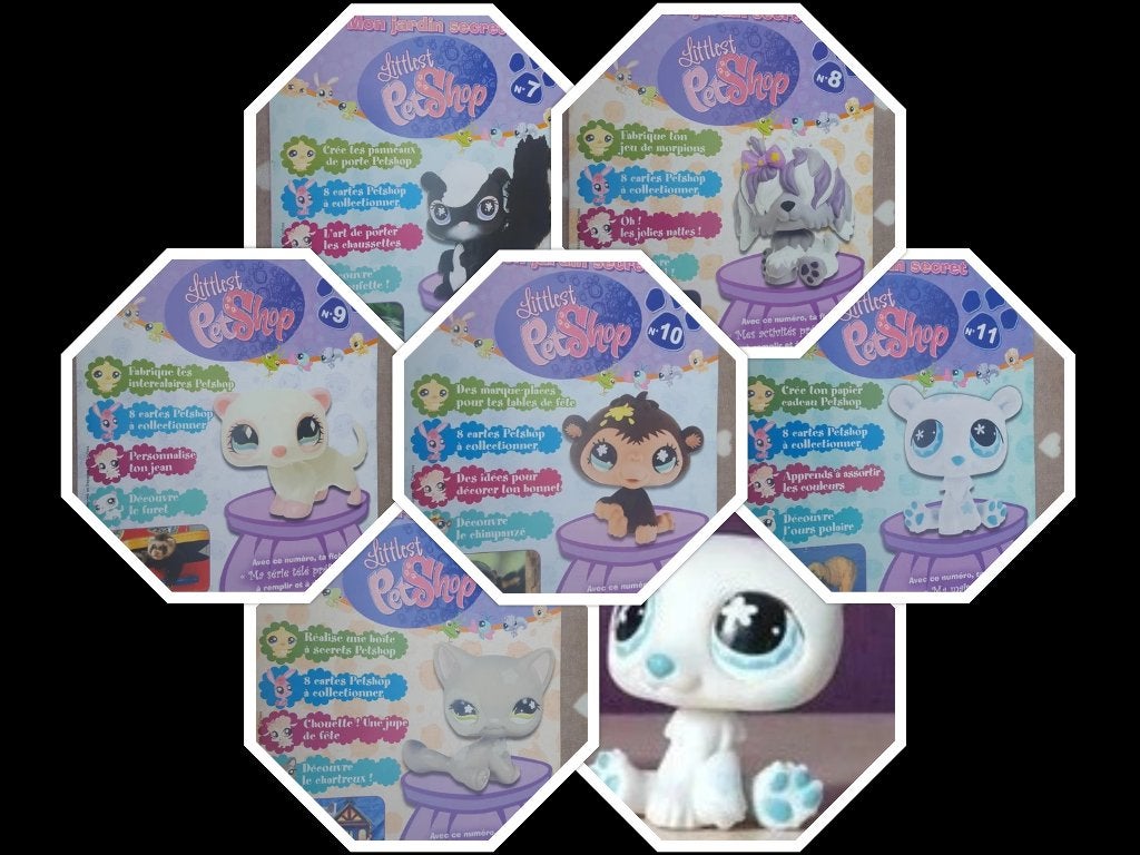 Lot de 6 livres Mon jardin secret Littlest PetShop, Enlèvement