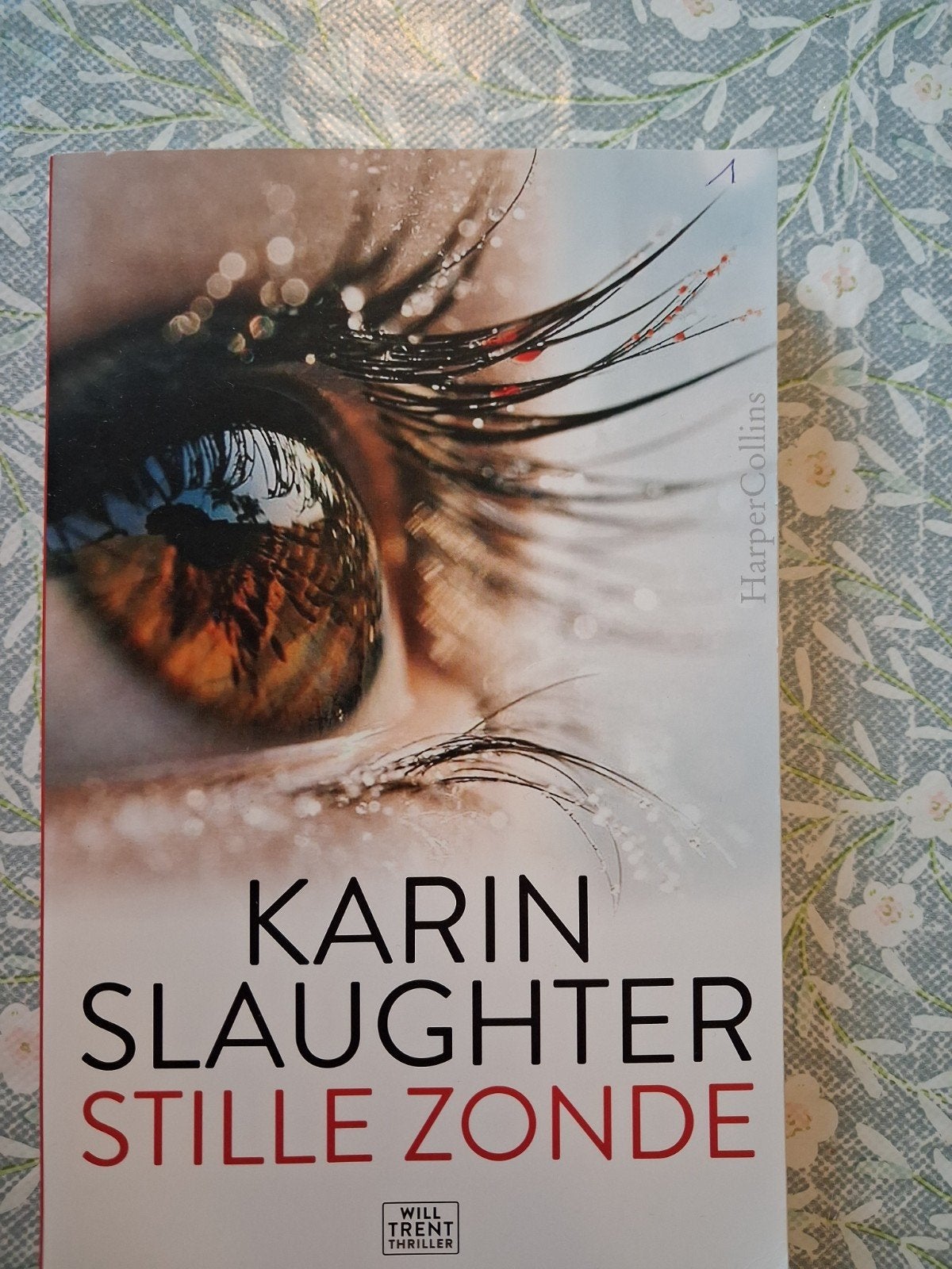 Karin Slaughter - Stille zonde (Special), Ophalen, Karin Slaughter