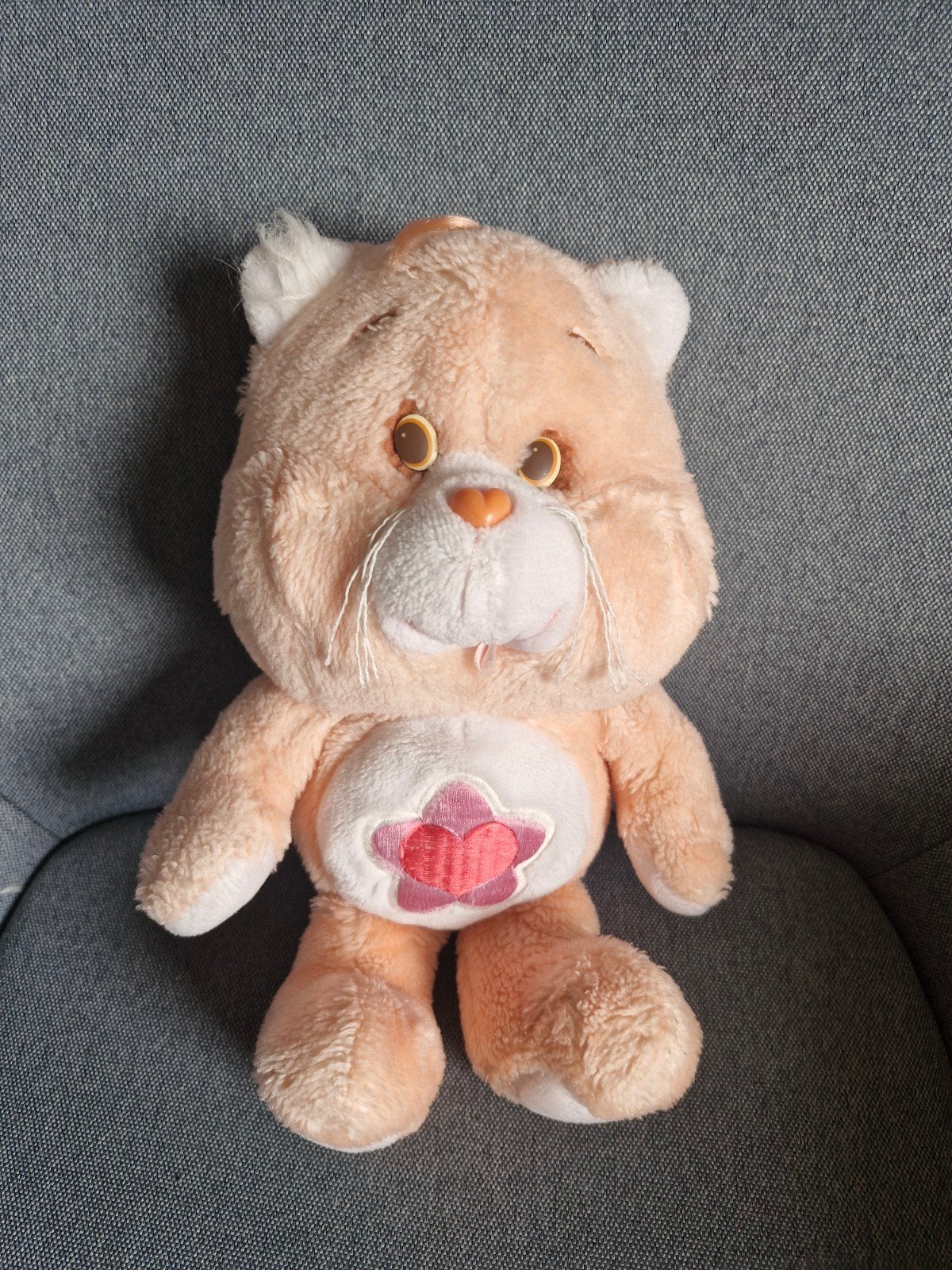 Care bear, Ophalen of Verzenden