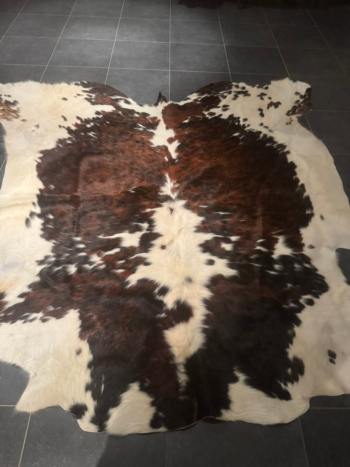 Gelooid driekleurig koevel van franse koe uit normandie, Maison & Meubles, Ameublement | Tapis & Moquettes, Neuf, 200 cm ou plus