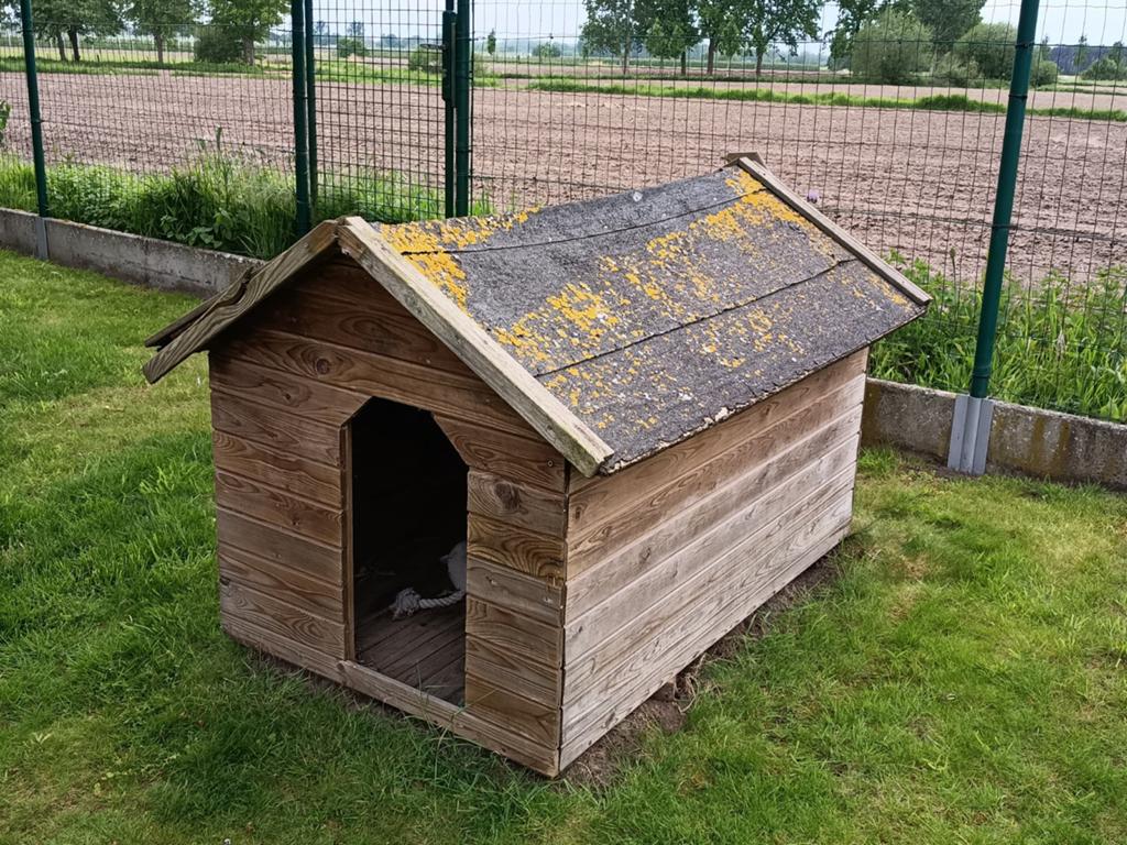 Hondenhok, Ophalen, Hondenhok