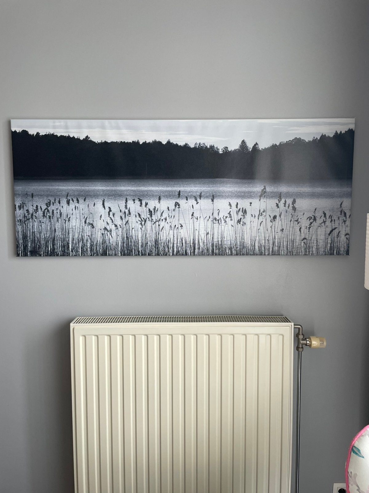 IKEA canvas schilderij, Ophalen, Zo goed als nieuw, Schilderij