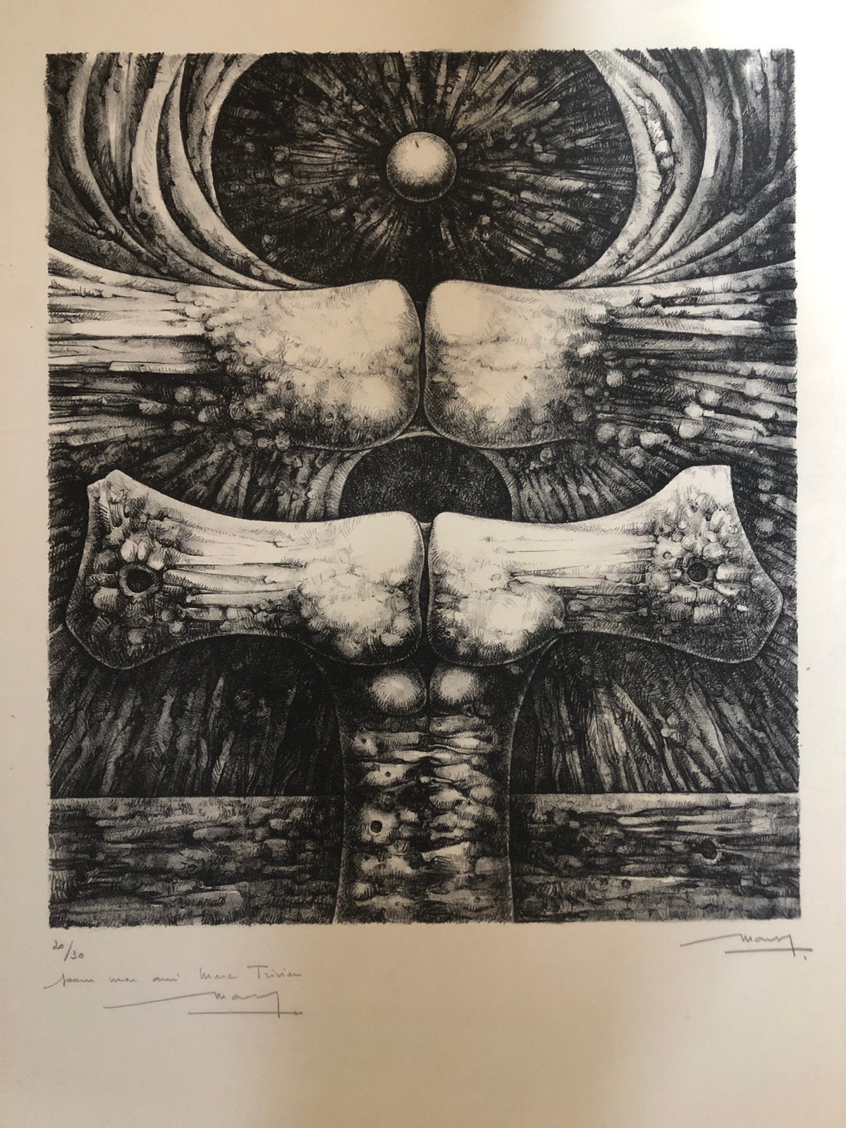 Magnifique litho numérotée et dédicacée, Ophalen