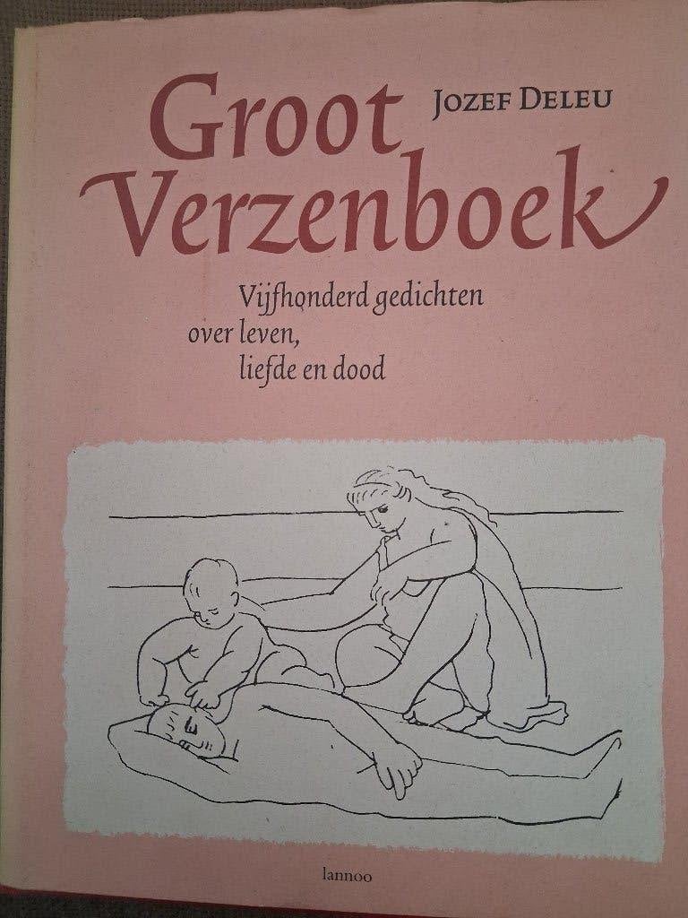 GROOT VERZENBOEK - JOZEF DELEU, Livres, Poèmes & Poésie, Enlèvement ou Envoi