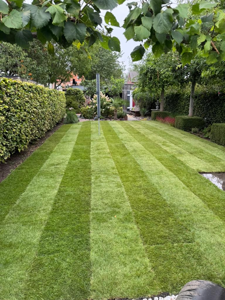 Tuinman gras onderhoud en aanleg, Jardin & Terrasse, Gazon & Gazon artificiel, Enlèvement, Neuf, 20 m² ou plus, Herbe