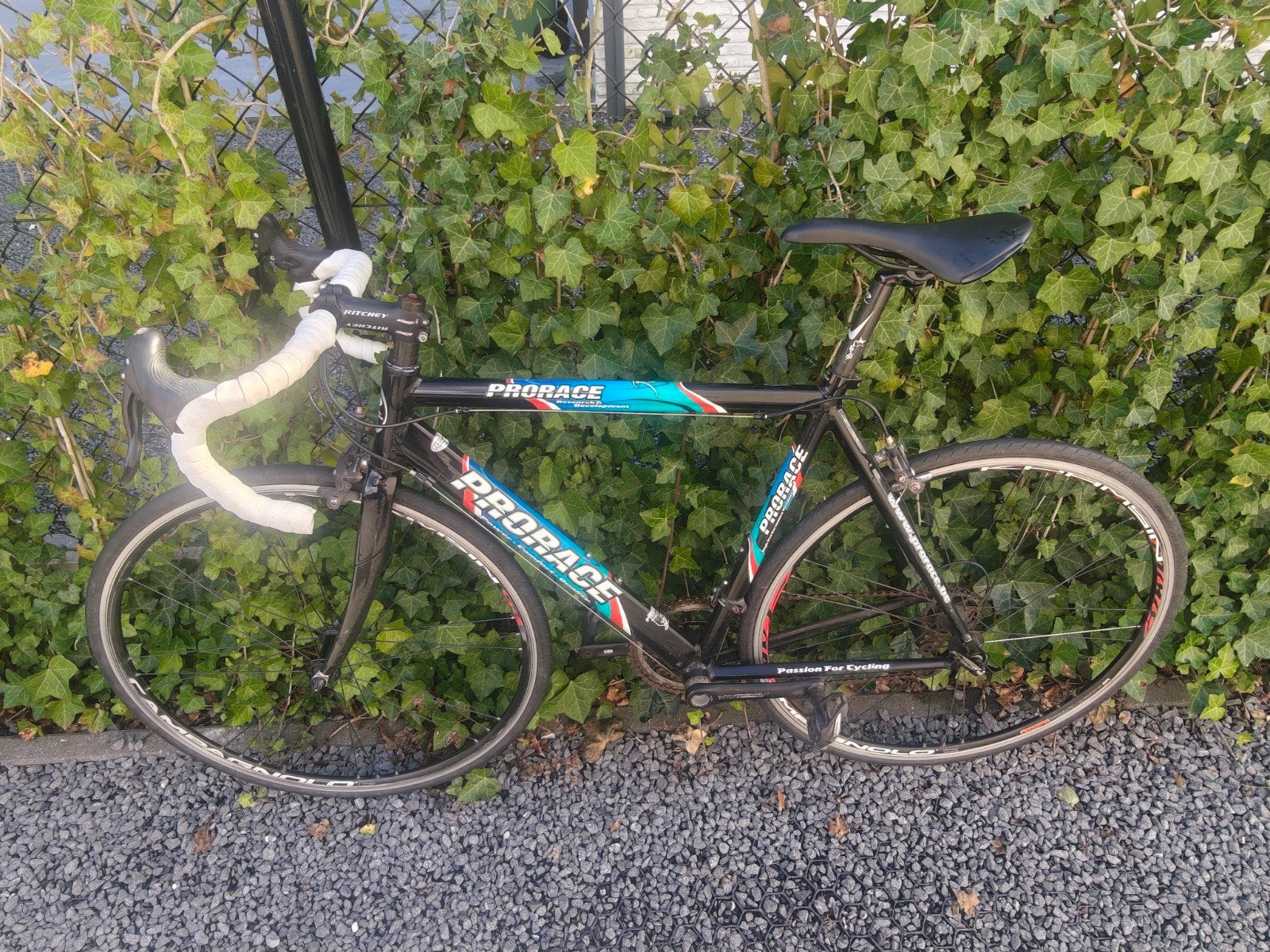 Prorace Koersfiets, Ophalen