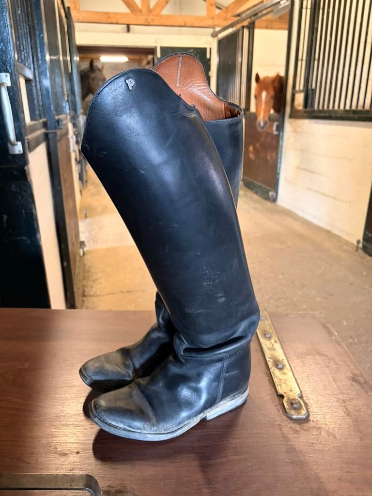 Bottes d'équitation Petrie, Animaux & Accessoires, Femmes, Utilisé, Chaussures, Dressage