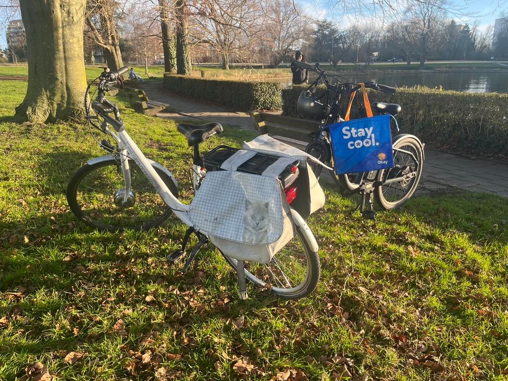 Elektrische fiets, Fietsen en Brommers, Ophalen, Zo goed als nieuw
