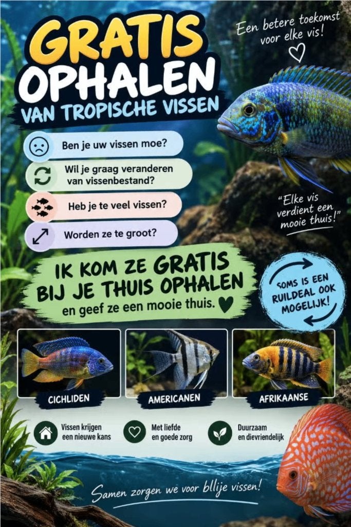 Vissen opvang !, Vis, Zoetwatervis